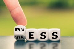 Wellness