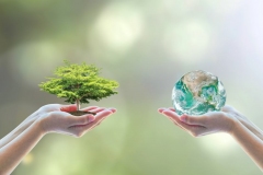 Tree-and-Earth