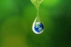World-in-leaf
